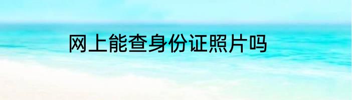 网上能查身份证照片吗