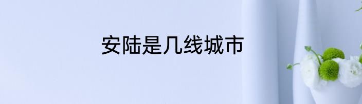 安陆是几线城市
