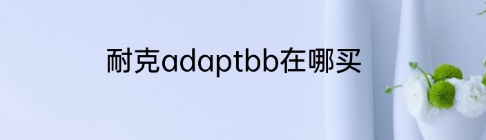 耐克adaptbb在哪买
