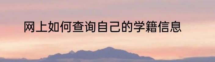 网上如何查询自己的学籍信息