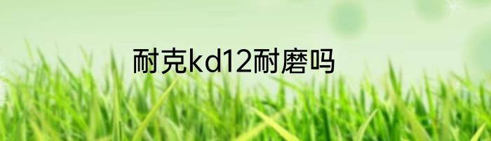 耐克kd12耐磨吗