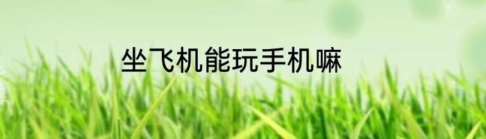 坐飞机能玩手机嘛
