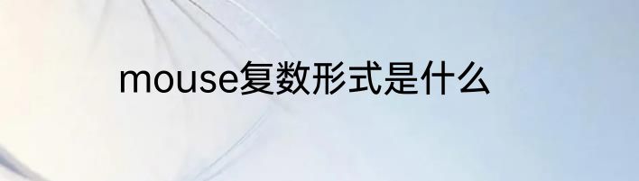 mouse复数形式是什么