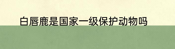 白唇鹿是国家一级保护动物吗