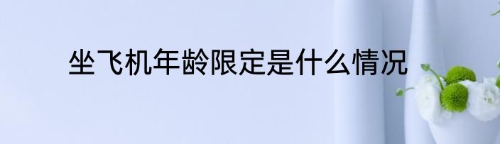 坐飞机年龄限定是什么情况