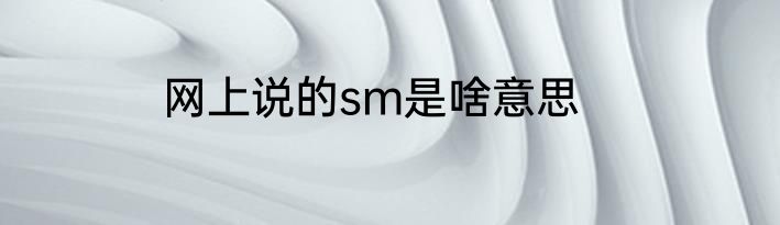 网上说的sm是啥意思