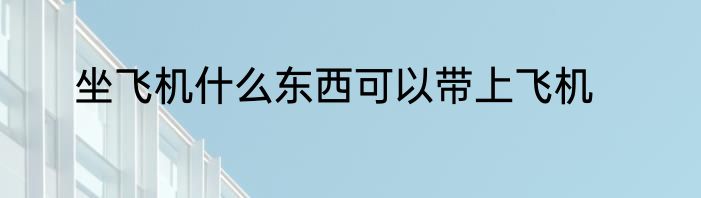 坐飞机什么东西可以带上飞机