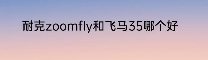 耐克zoomfly和飞马35哪个好