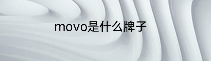 movo是什么牌子