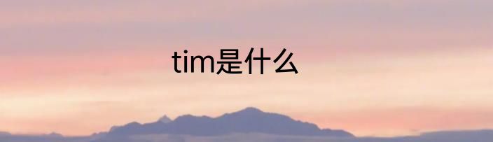 tim是什么