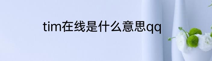 tim在线是什么意思qq