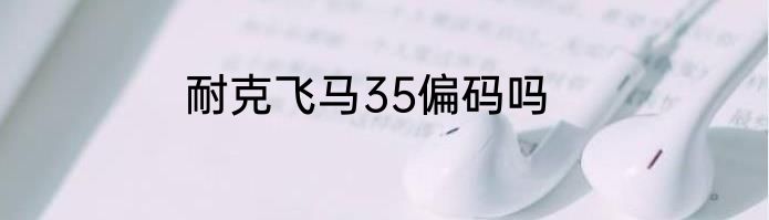 耐克飞马35偏码吗