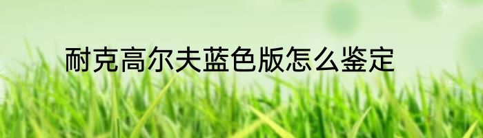 耐克高尔夫蓝色版怎么鉴定