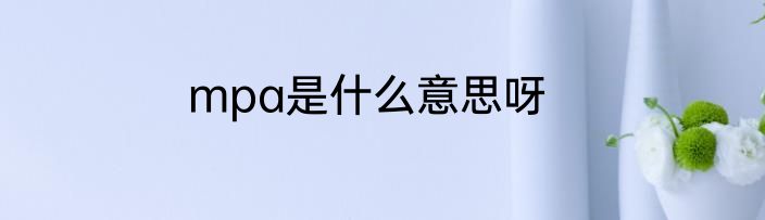 mpa是什么意思呀