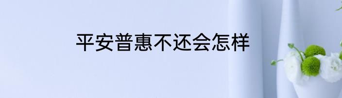 平安普惠不还会怎样