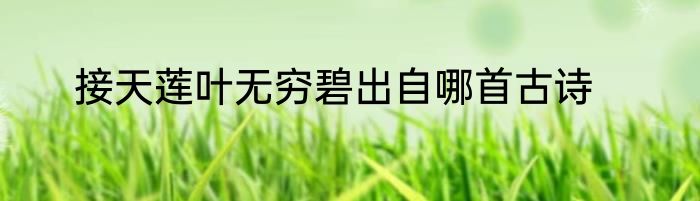 接天莲叶无穷碧出自哪首古诗