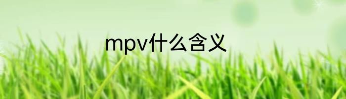 mpv什么含义