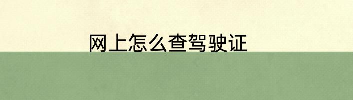 网上怎么查驾驶证