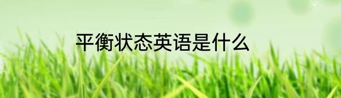 平衡状态英语是什么