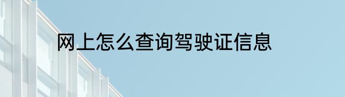 网上怎么查询驾驶证信息