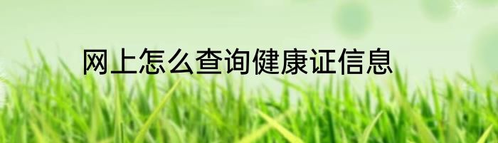 网上怎么查询健康证信息