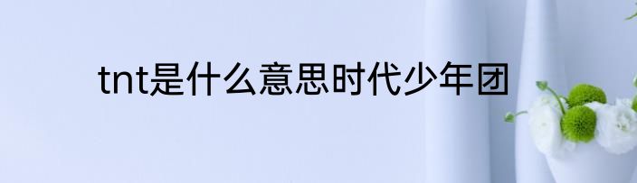 tnt是什么意思时代少年团