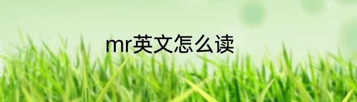 mr英文怎么读