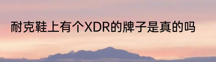 耐克鞋上有个XDR的牌子是真的吗