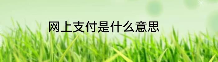 网上支付是什么意思