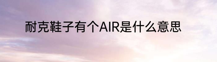 耐克鞋子有个AIR是什么意思
