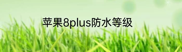 苹果8plus防水等级