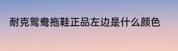 耐克鸳鸯拖鞋正品左边是什么颜色