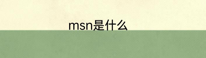 msn是什么