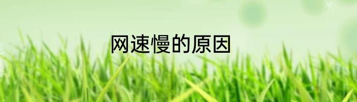 网速慢的原因