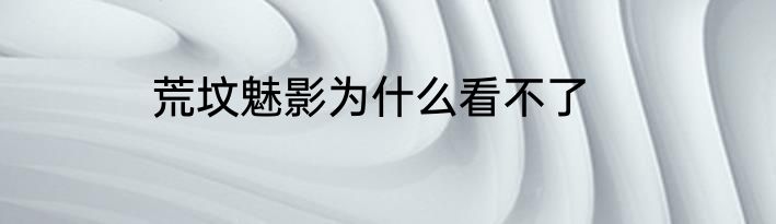 荒坟魅影为什么看不了