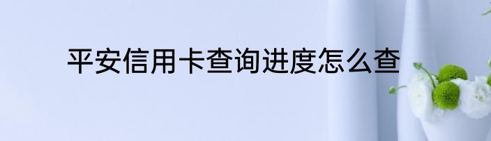 平安信用卡查询进度怎么查