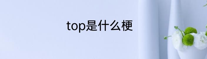 top是什么梗