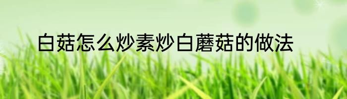 白菇怎么炒素炒白蘑菇的做法