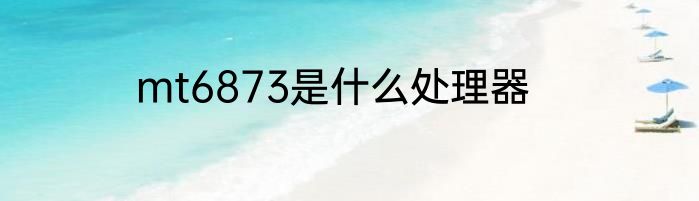 mt6873是什么处理器