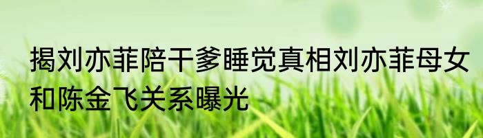 揭刘亦菲陪干爹睡觉真相刘亦菲母女和陈金飞关系曝光