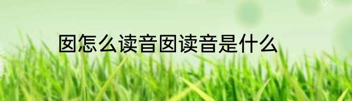 囡怎么读音囡读音是什么