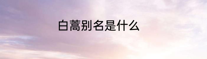 白蒿别名是什么