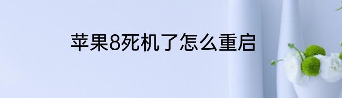 苹果8死机了怎么重启
