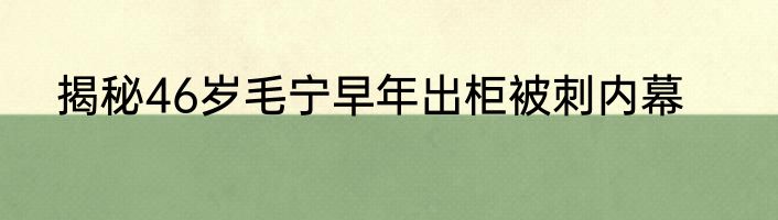 揭秘46岁毛宁早年出柜被刺内幕