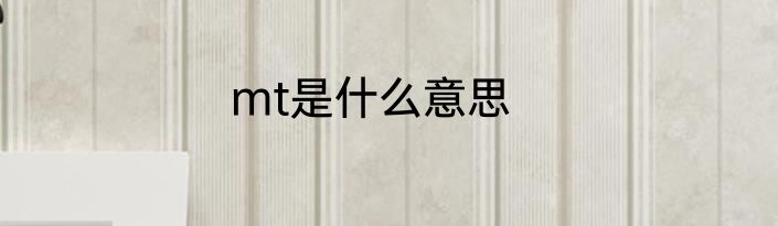 mt是什么意思