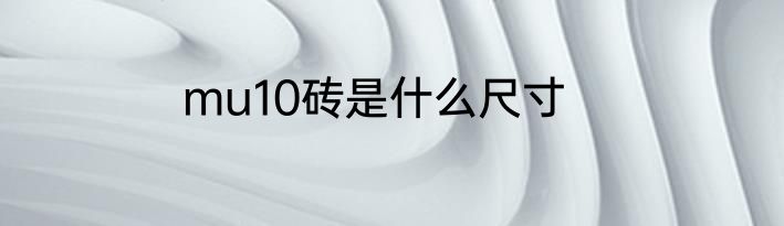 mu10砖是什么尺寸