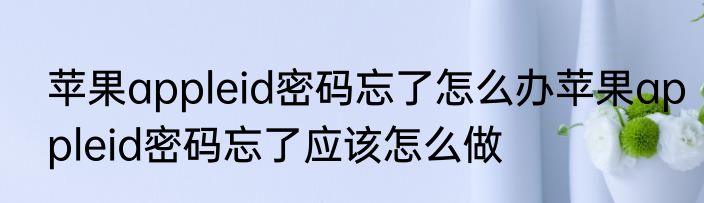 苹果appleid密码忘了怎么办苹果appleid密码忘了应该怎么做