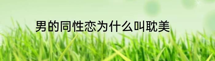 男的同性恋为什么叫耽美