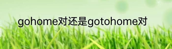 gohome对还是gotohome对