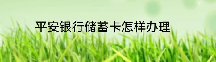 平安银行储蓄卡怎样办理